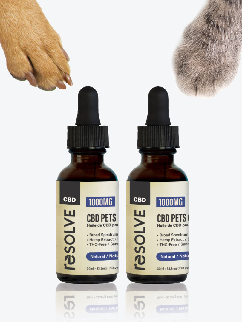 Best cbd oil for small dogs hotsell