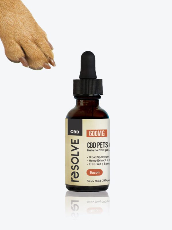 bottle of resolvecbd's 600mg Bacon pet oil with a dog paw reaching for it