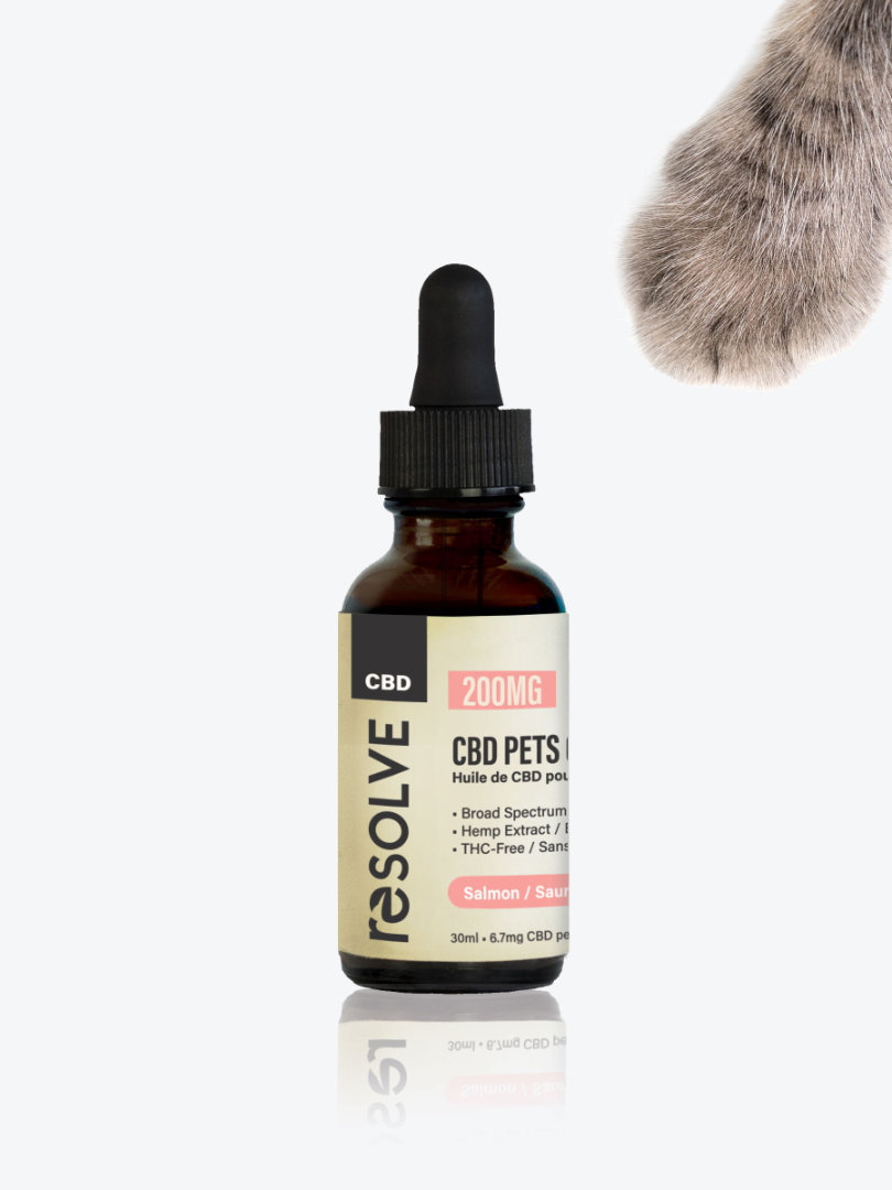 bottle of resolvecbd's 200mg Salmon pet oil with a cats paw reaching for it