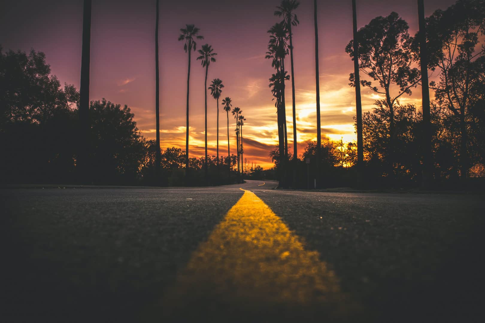 Picture of a road at sunset with palm trees on both side