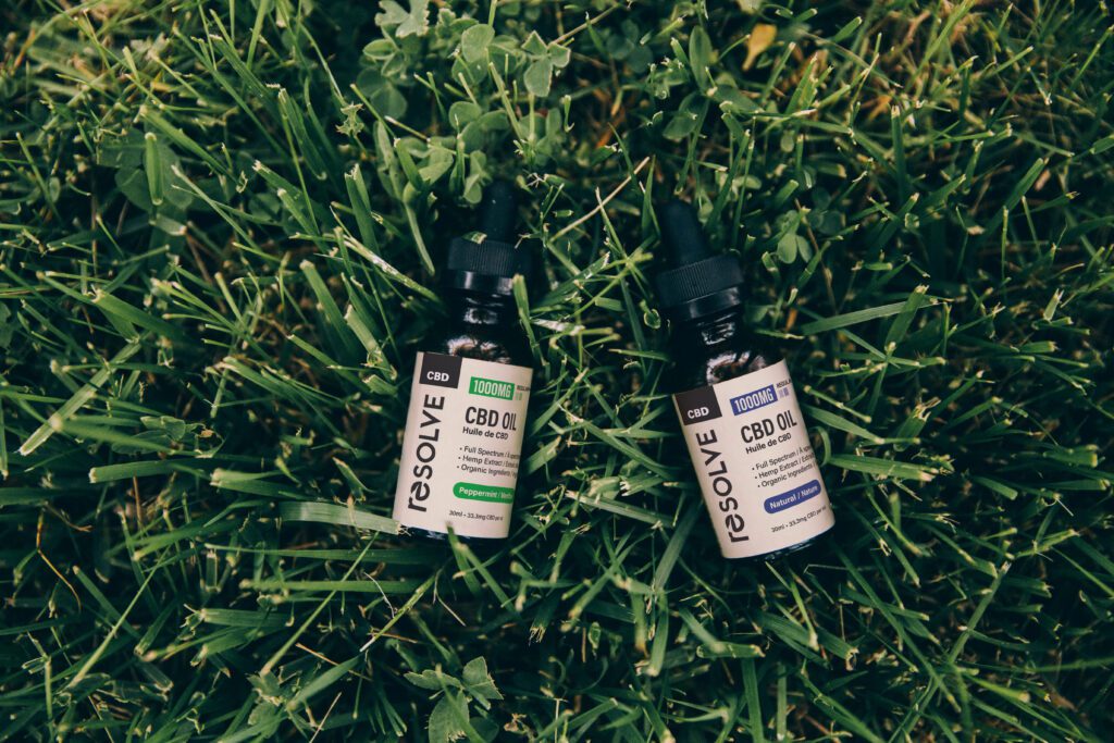CBD and Gardening: Innovative Ways to Boost Plant Growth