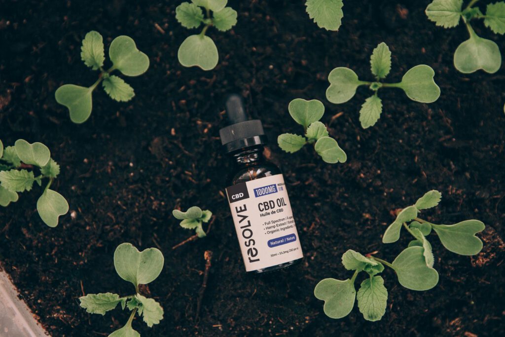 CBD and Gardening: Innovative Ways to Boost Plant Growth